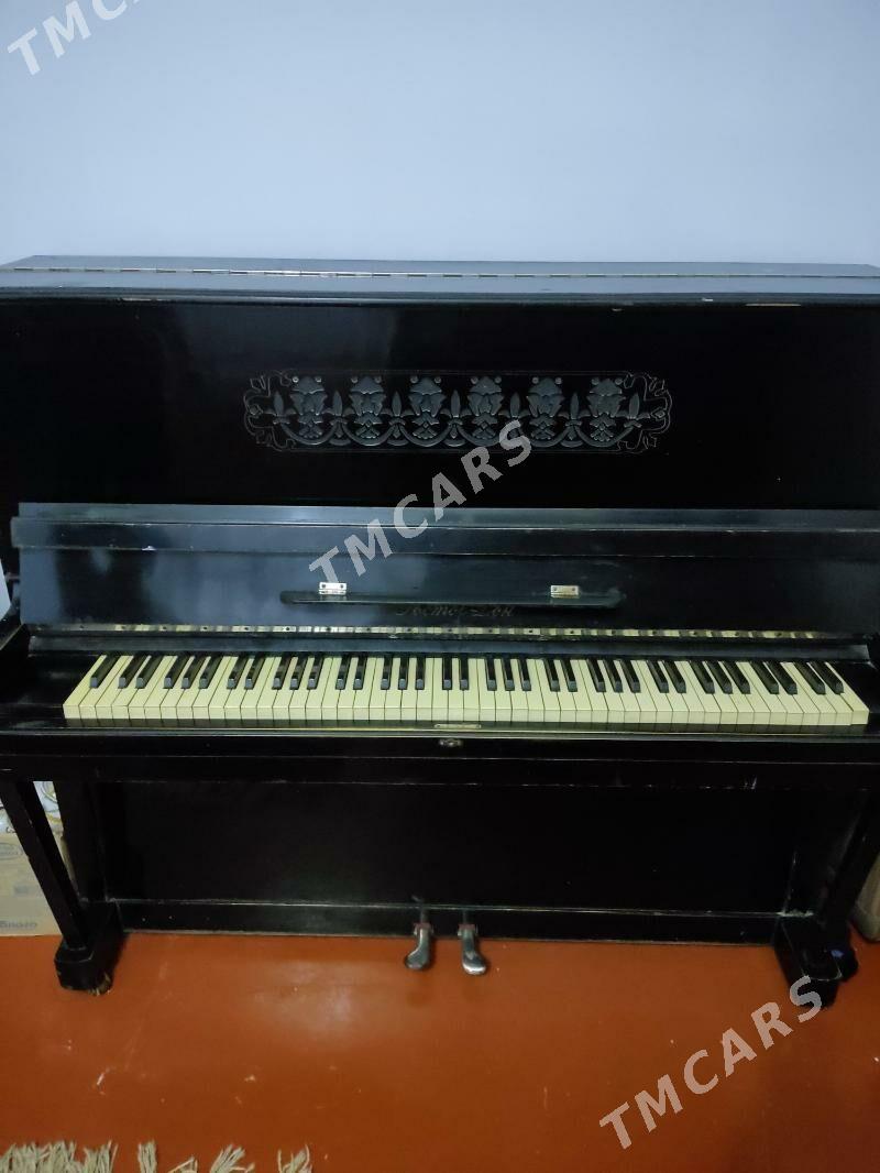 pianino - Daşoguz - img 1
