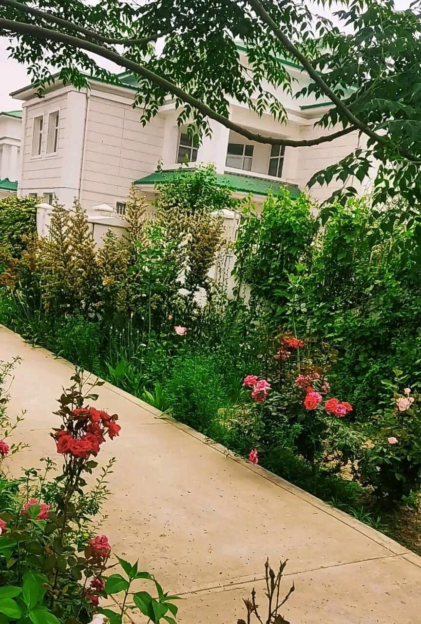 Arenda jay Çyzgy kotež - Aşgabat - img 3