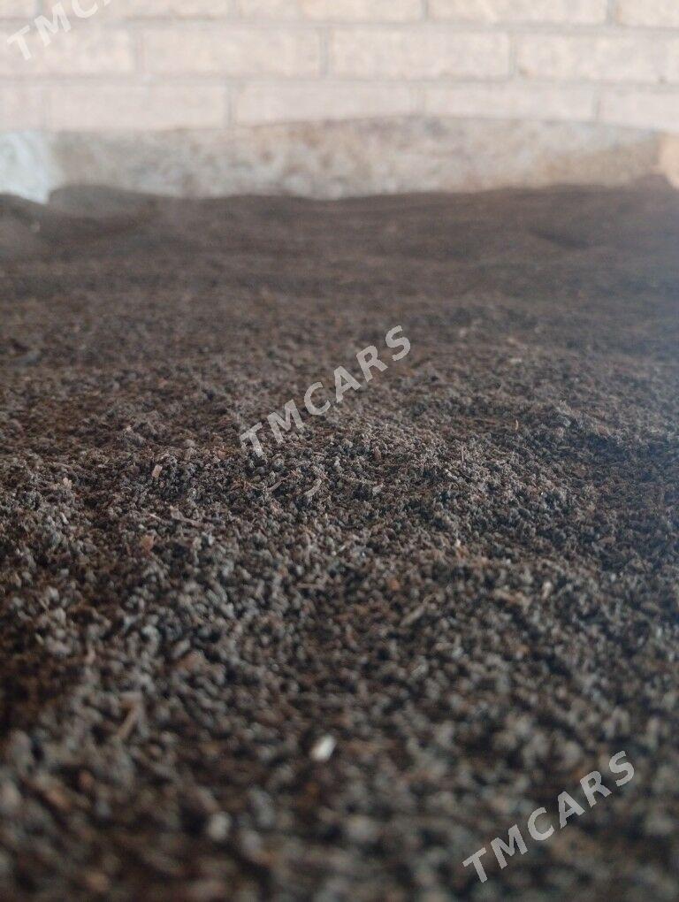 Biogomus - Çärjew - img 10