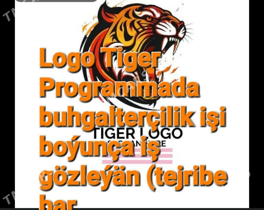 LOGA TIGER BUGALTERIYA - Aşgabat - img 2