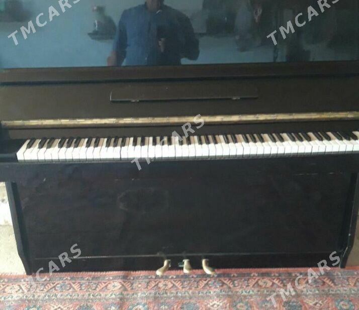 pianino - Balkanabat - img 2