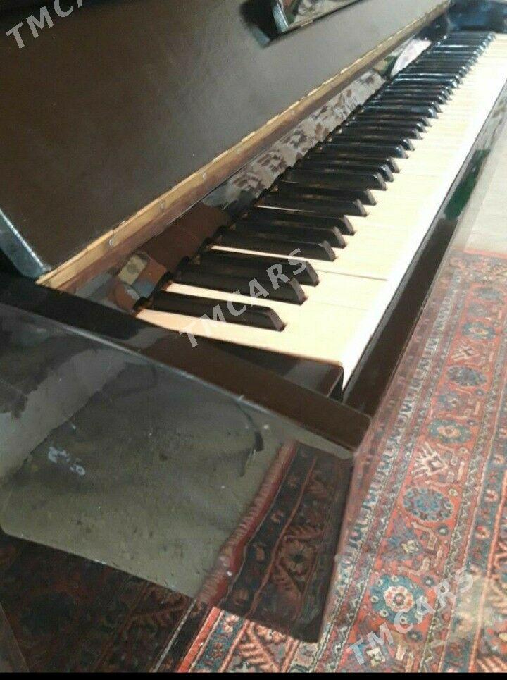 pianino - Balkanabat - img 4