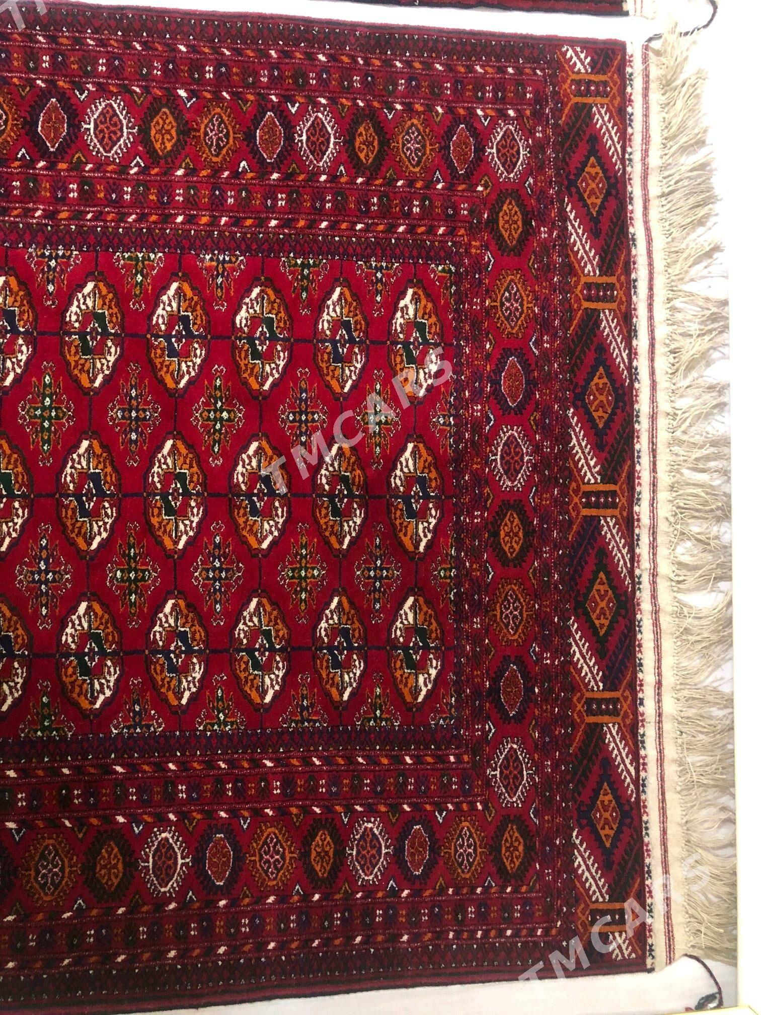Haly - Aşgabat - img 2