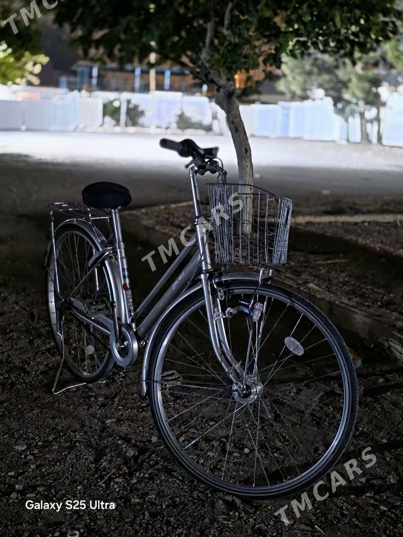 yaponsky tigir - Balkanabat - img 2