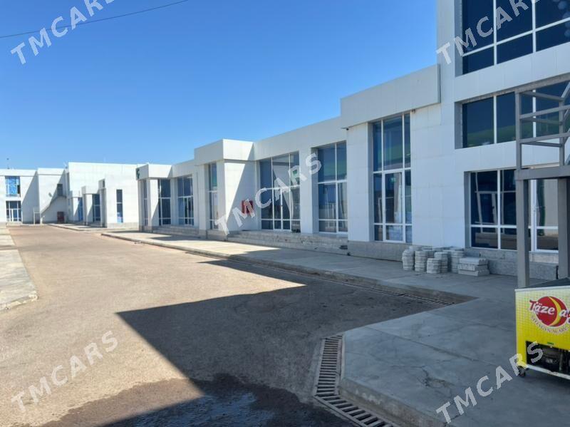 ARENDA - Daşoguz - img 3