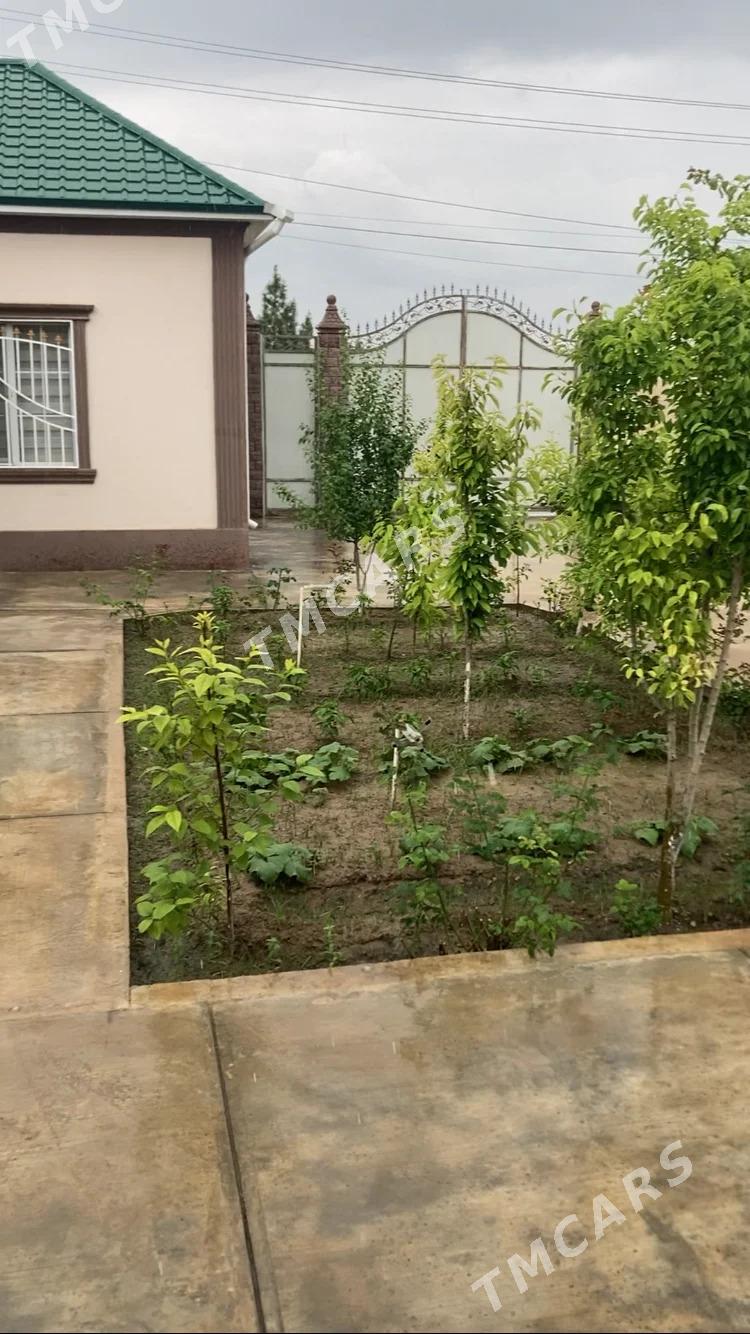 SATLYK BAGYR MIREWE PLAN - Багир - img 3