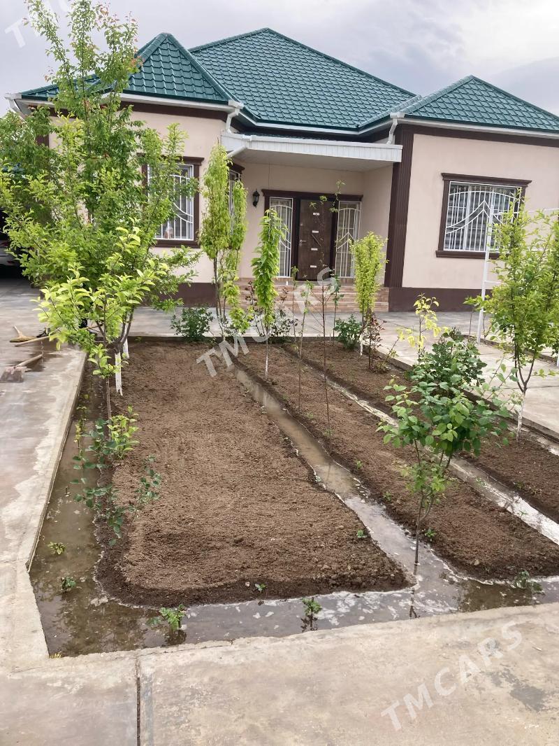 SATLYK BAGYR MIREWE PLAN - Багир - img 5