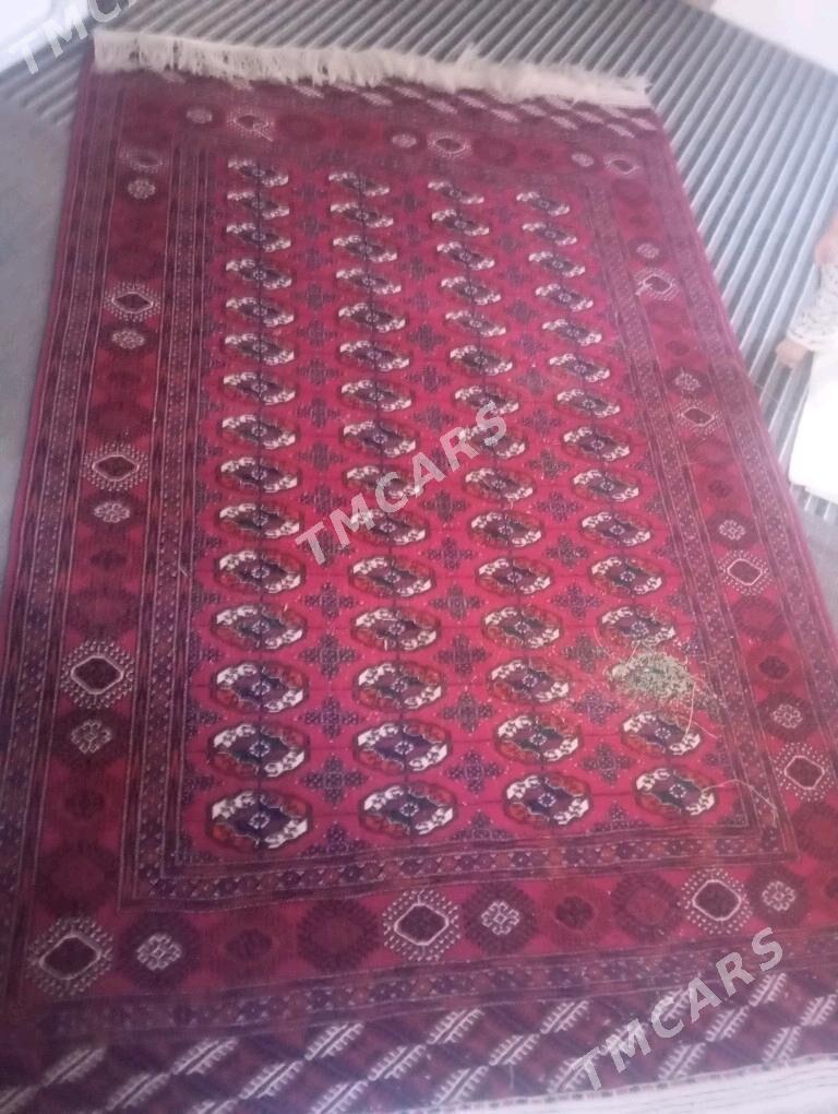 Turkmen haly - Murgap - img 3