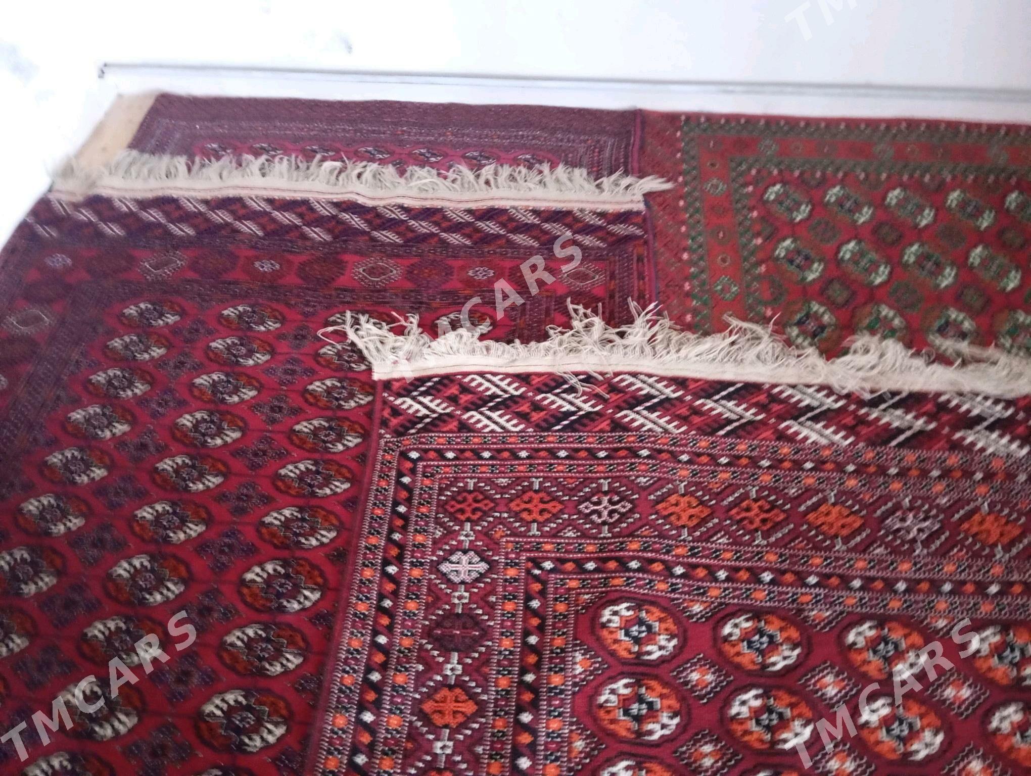 Turkmen haly - Murgap - img 4