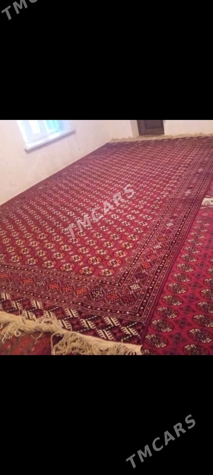Turkmen haly - Murgap - img 2