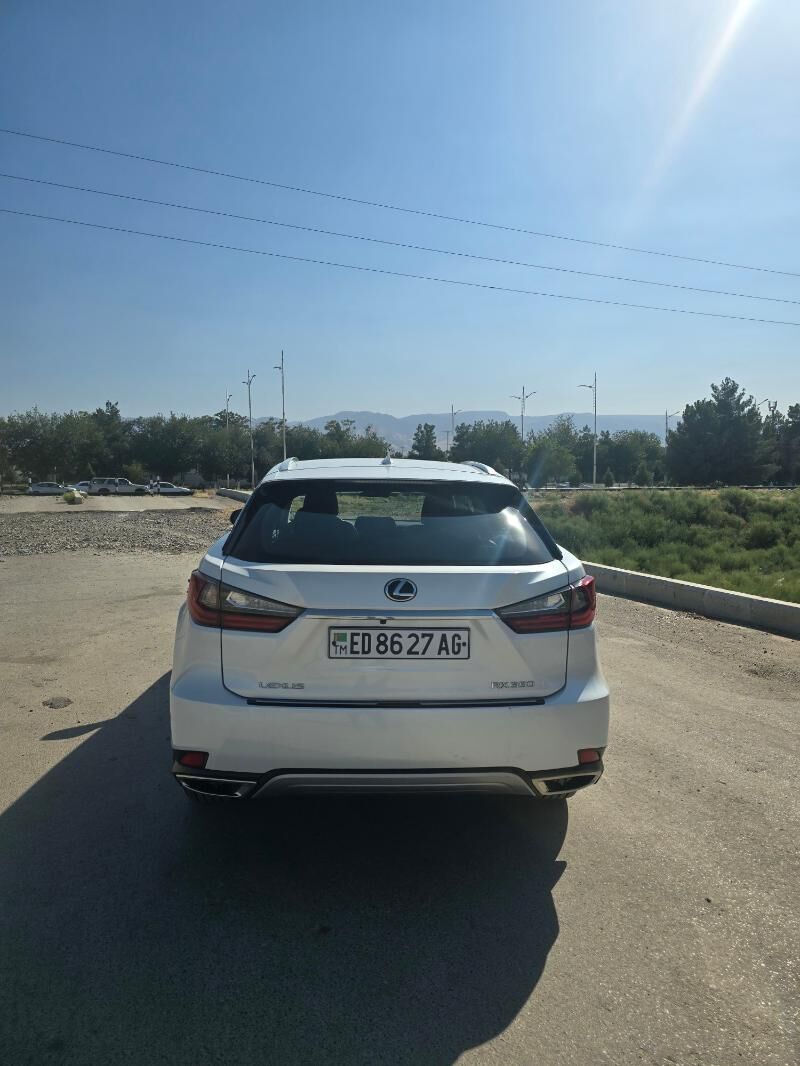 Lexus RX 350 2020 - 637 000 TMT - Ашхабад - img 1