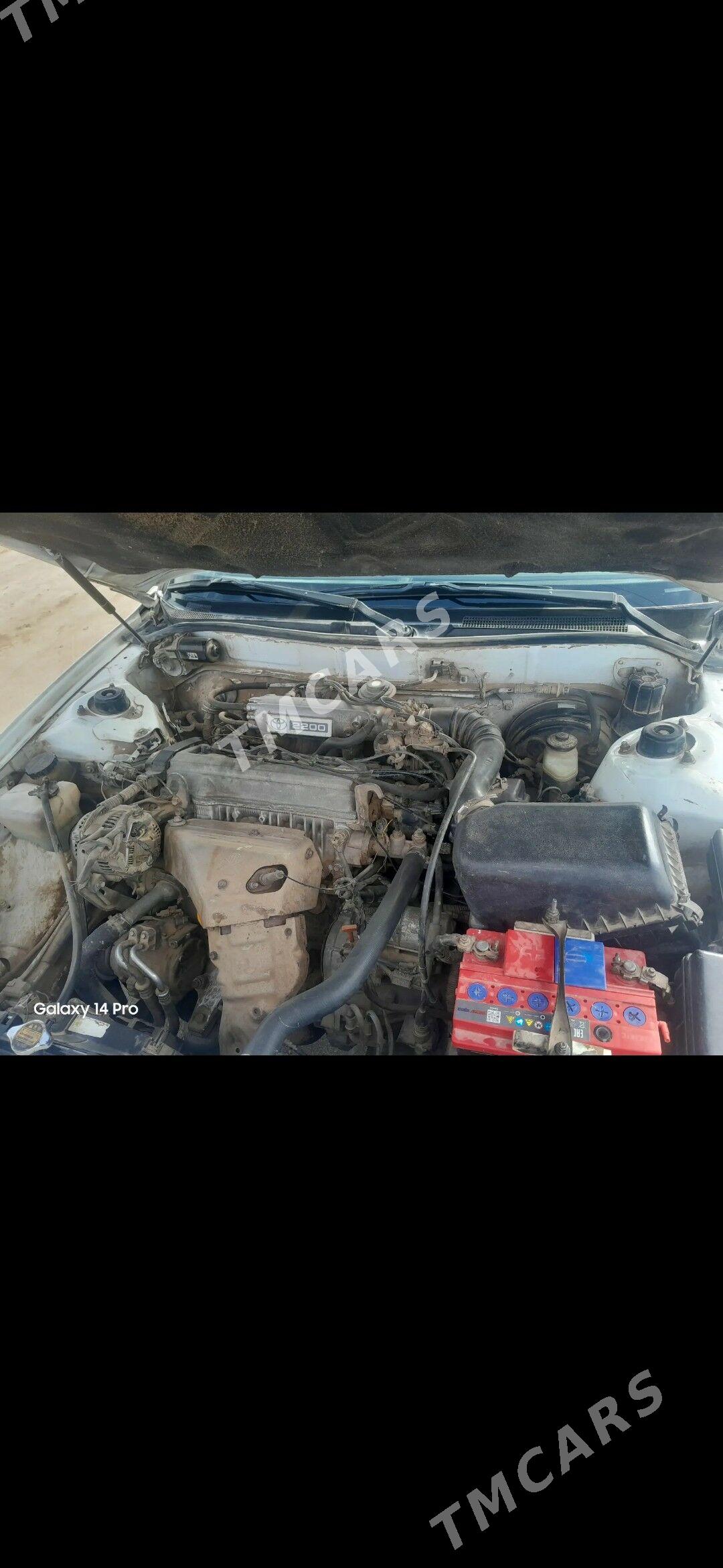 Toyota Camry 1995 - 85 000 TMT - Губадаг - img 4