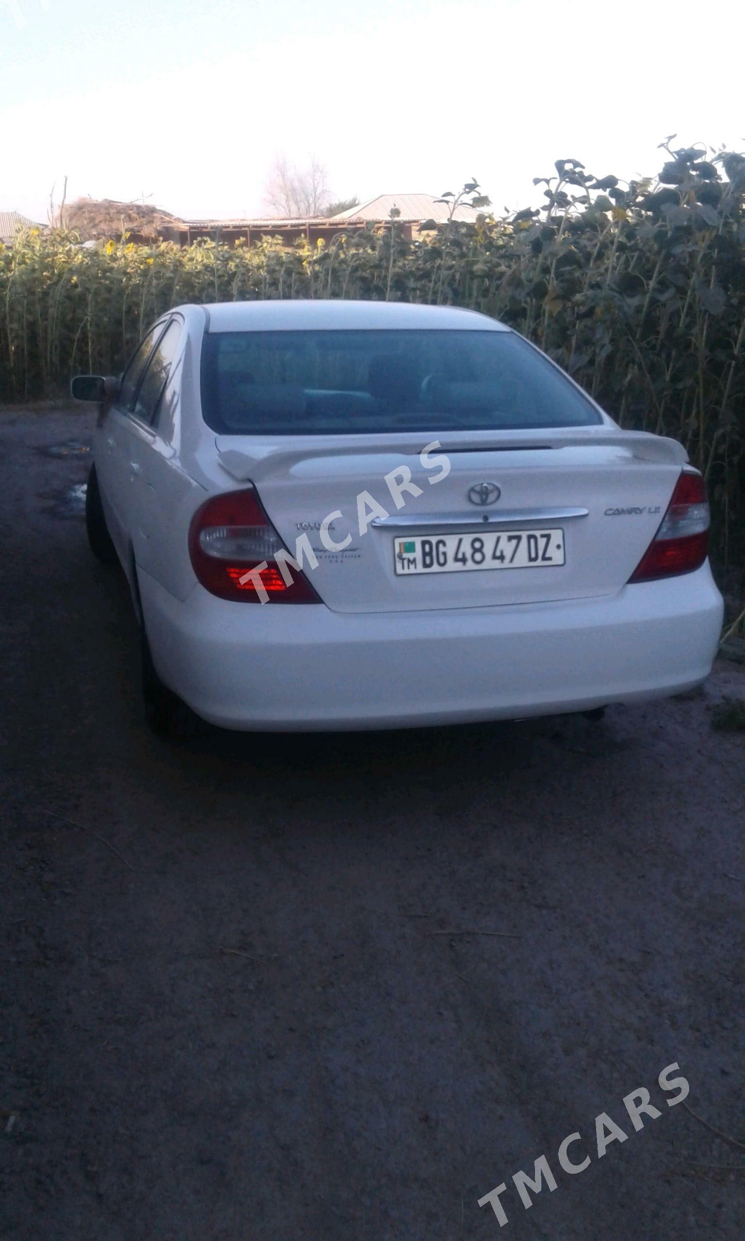 Toyota Camry 2003 - 152 000 TMT - Болдумсаз - img 3