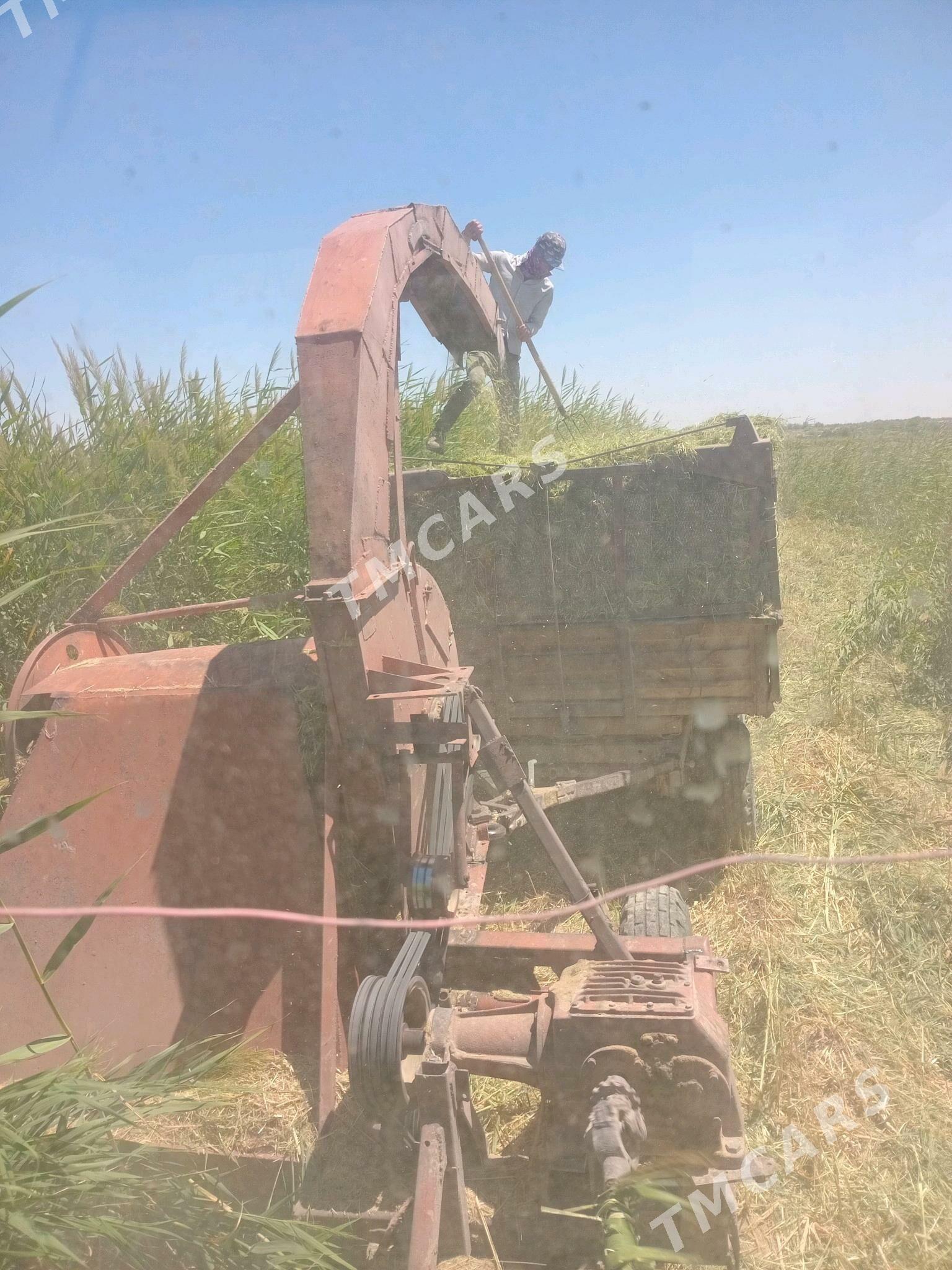 MTZ 82 1998 - 50 000 TMT - Ёлётен - img 3