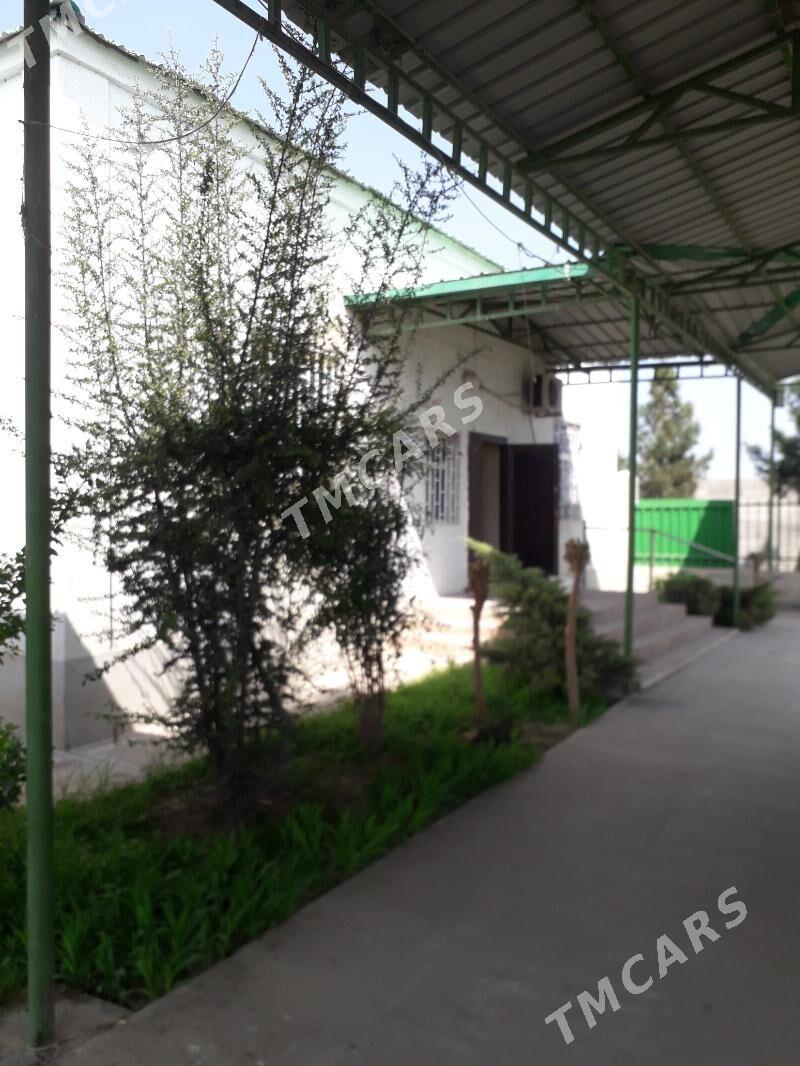 plan jaý - Гёкдепе - img 5