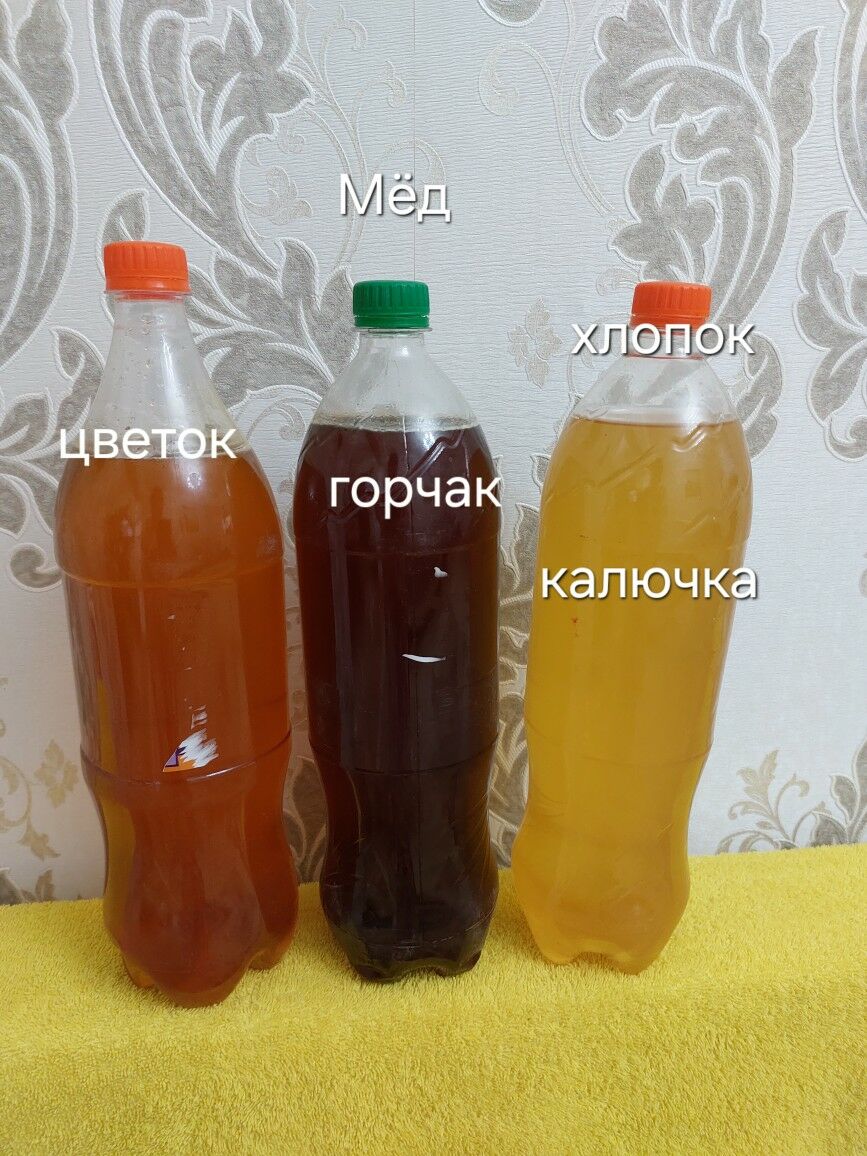Мёд натуральный - Ашхабад - img 2
