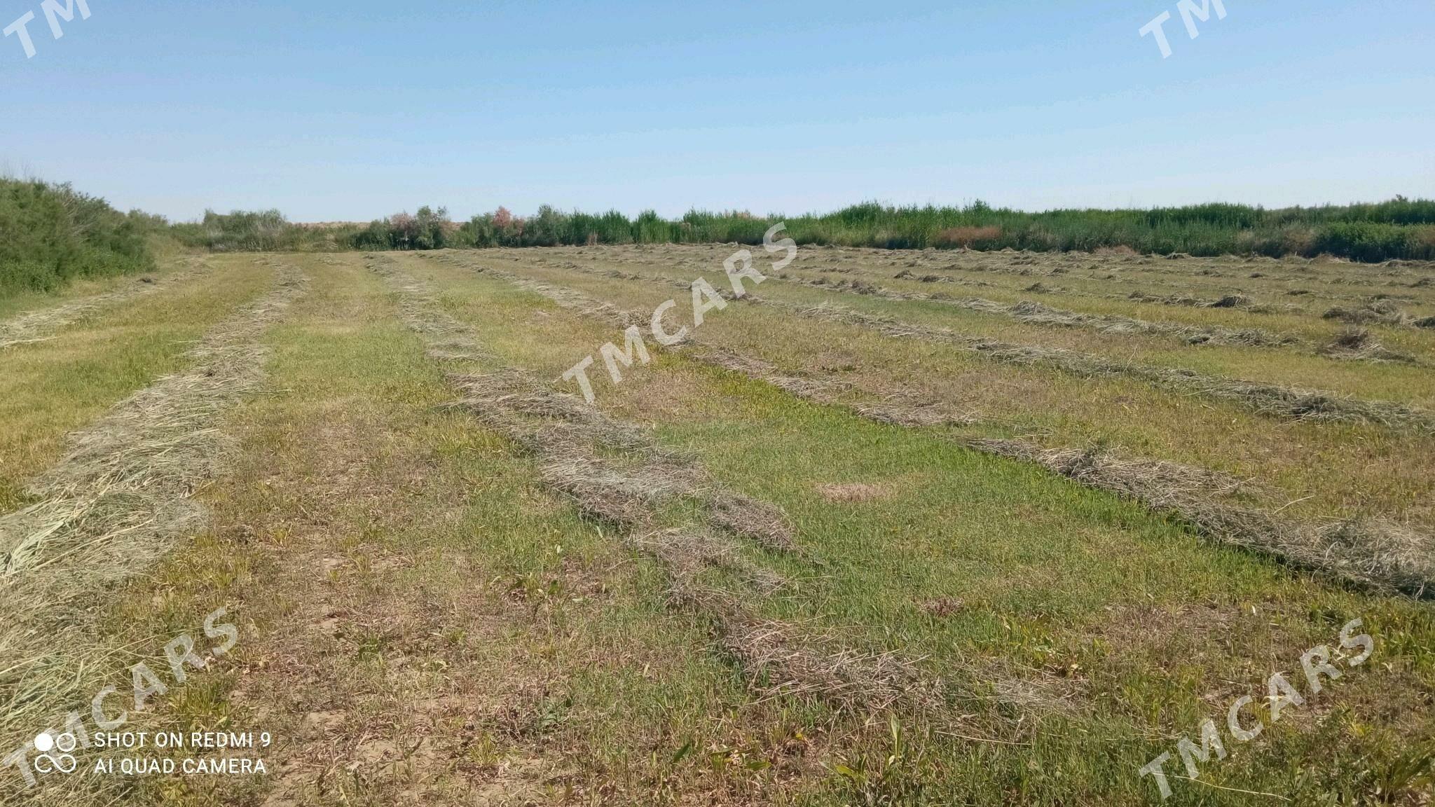 ферма ferma Jon Deere 6195 - Саят - img 2