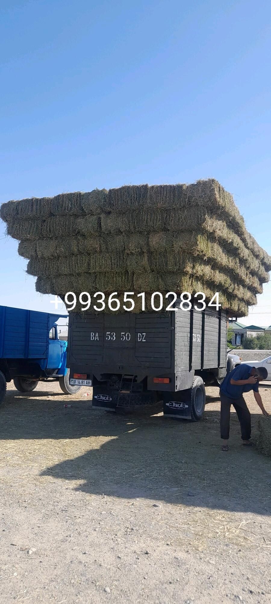 ZIL BORT KUZBA 9 000 TMT - Bäherden - img 5