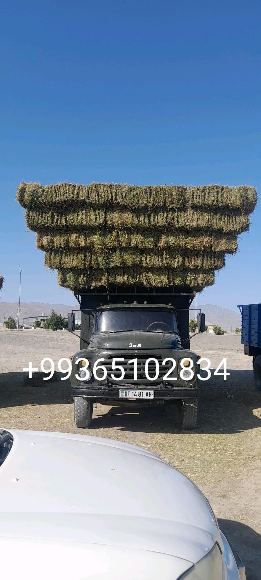 ZIL BORT KUZBA 9 000 TMT - Bäherden - img 4