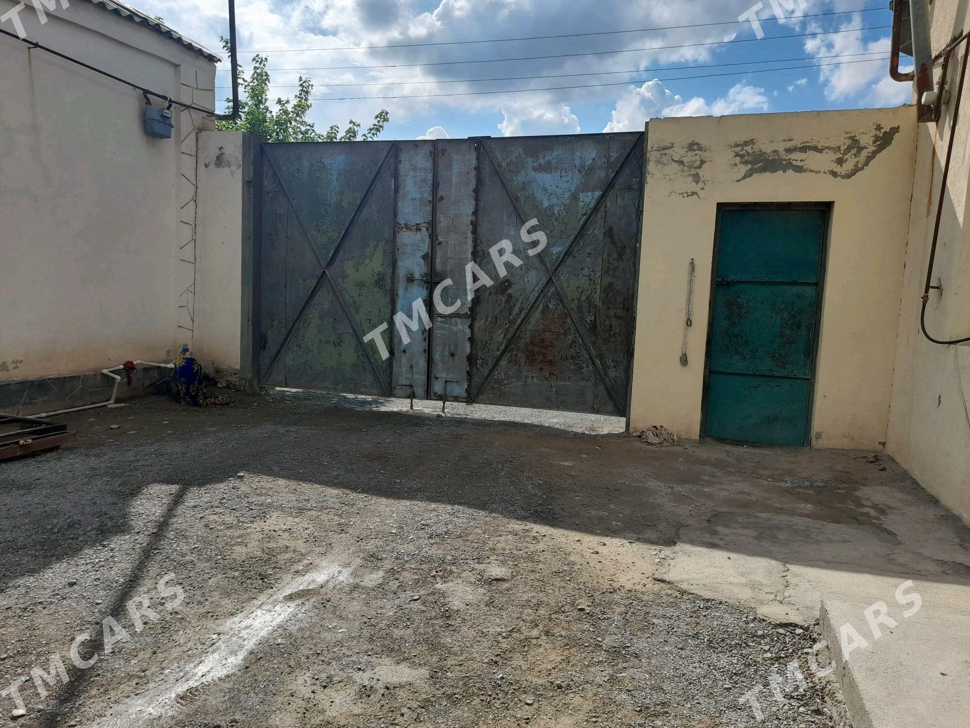 buzmeýin guneş - Büzmeýin - img 1