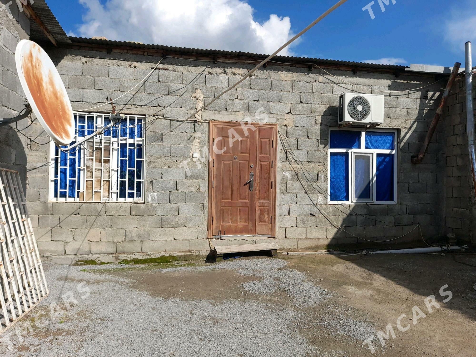 buzmeýin guneş - Büzmeýin - img 2