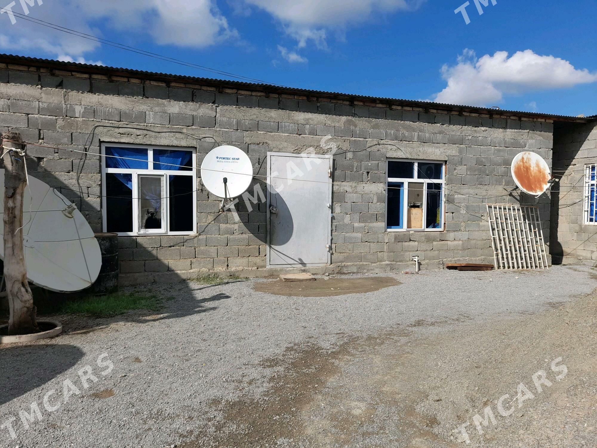 buzmeýin guneş - Büzmeýin - img 5