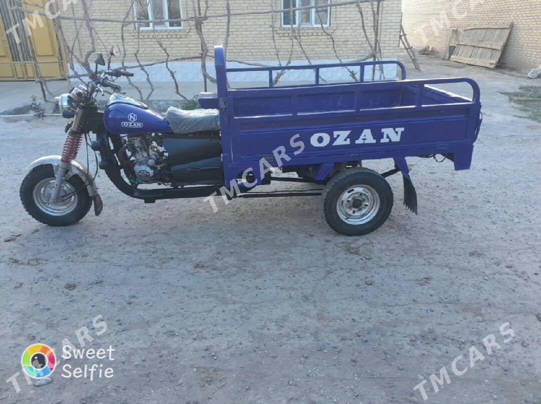 Ozan 200CC 2013 - 17 000 TMT - Dänew - img 2