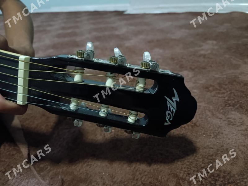 Gitara - Saýat - img 3