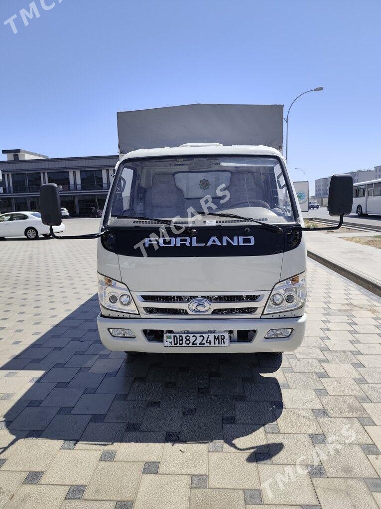 Forland H2 2014 - 135 000 TMT - Mary - img 1