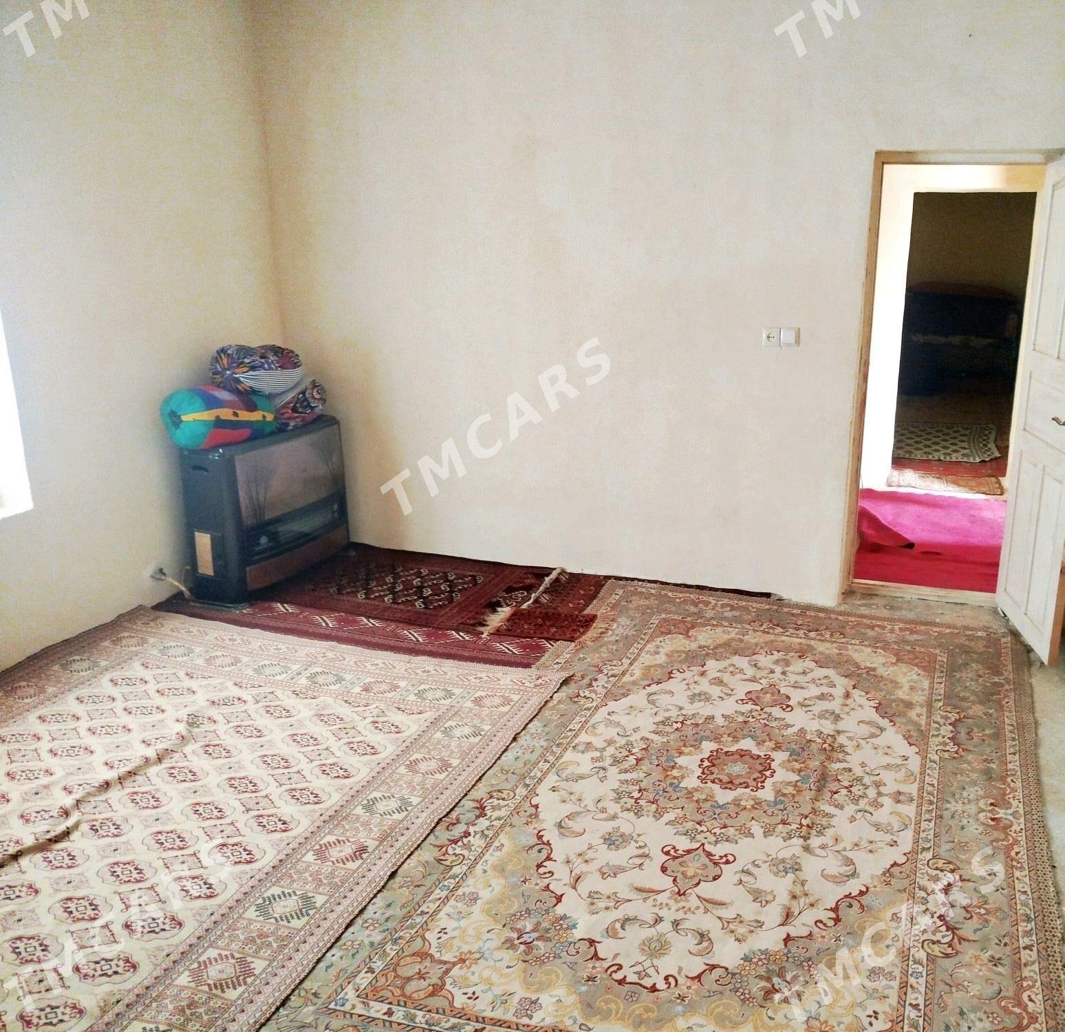 Turkmenistan koce - Этрек - img 2