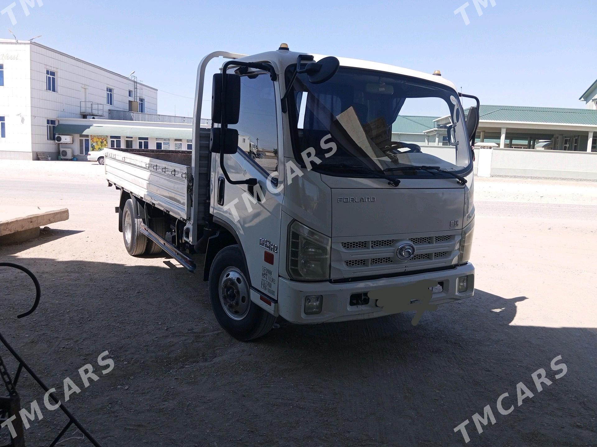 Forland H2 2018 - 240 000 TMT - Gumdag - img 4