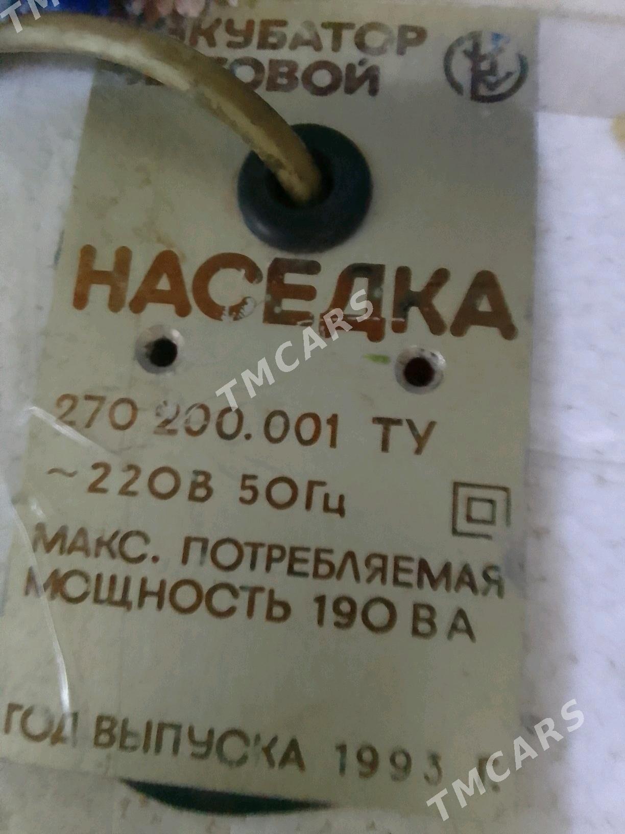 enkwator inkbator - Гёкдепе - img 3