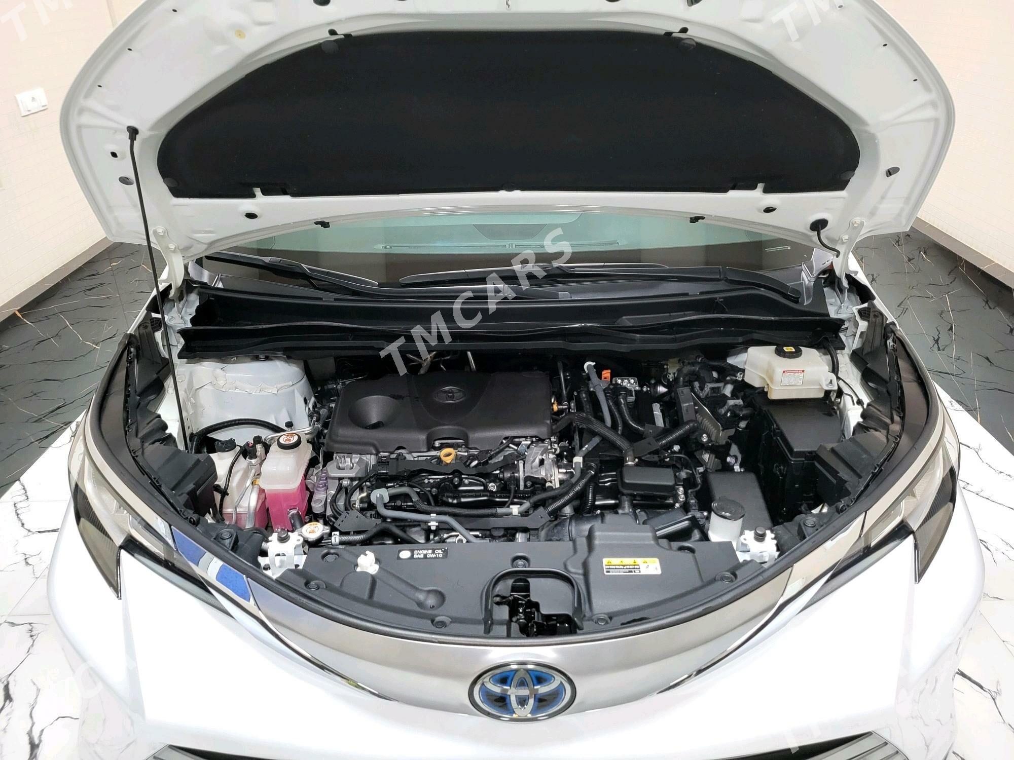 Toyota Sienna 2021 - 570 000 TMT - Чоганлы - img 2
