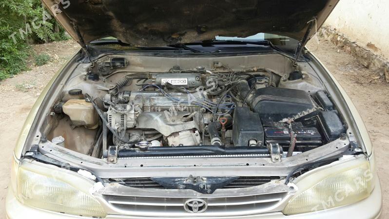 Toyota Camry 1995 - 82 000 TMT - Dostluk - img 10