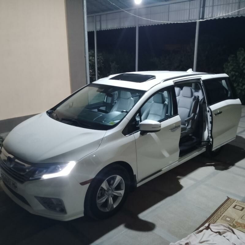 Honda Odyssey 2019 - 390 000 TMT - Mary - img 8