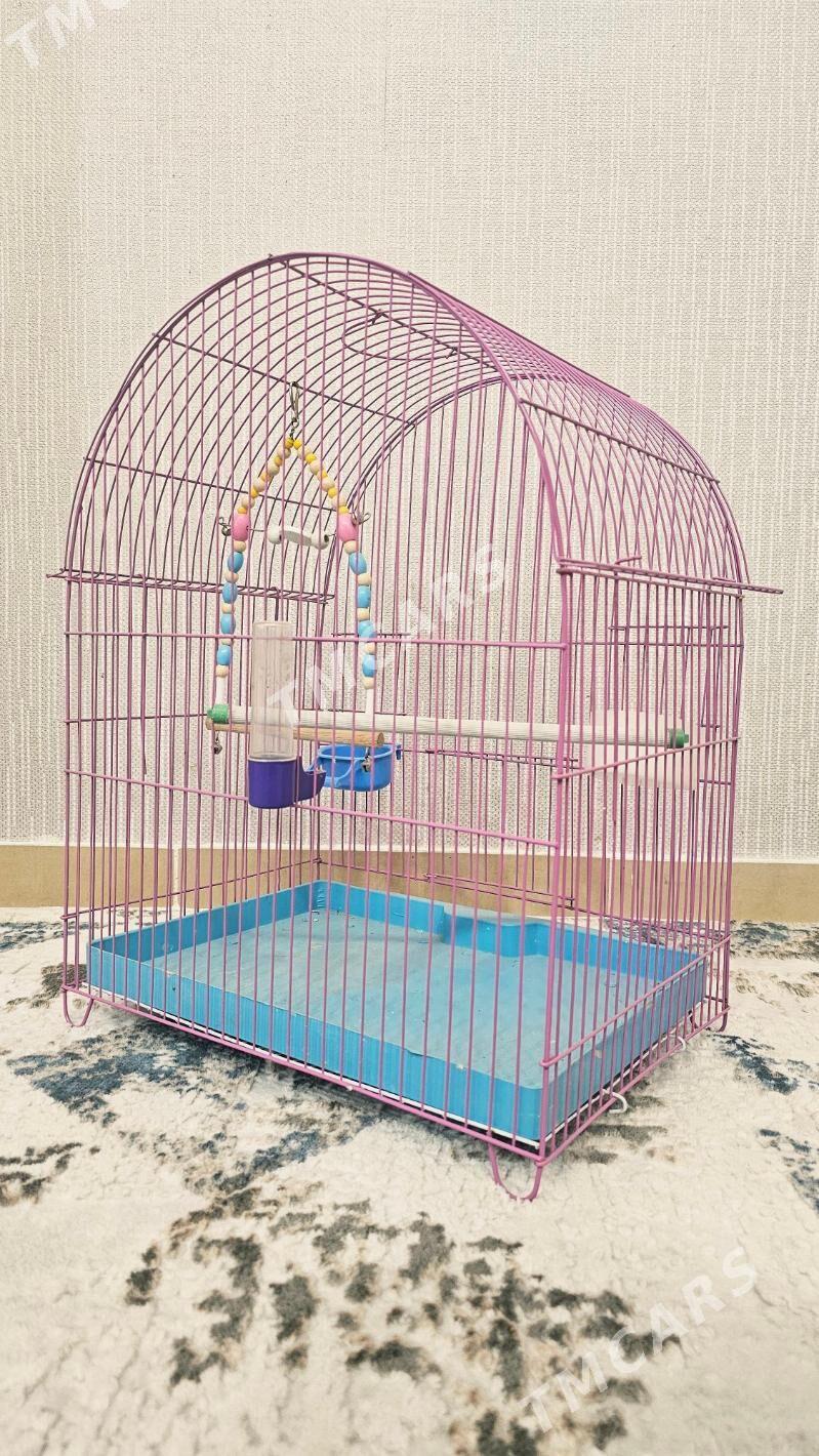 Продам Клетку для птиц - Ашхабад - img 2