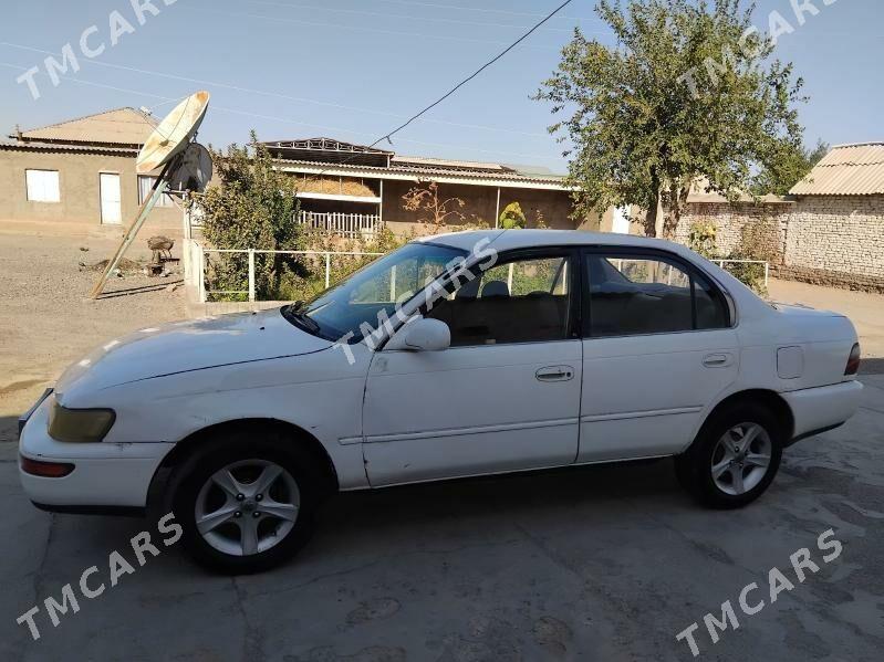 Toyota Corolla 1997 - 37 000 TMT - Sarahs - img 3