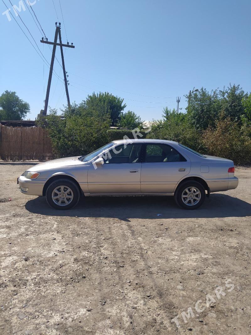 Toyota Camry 2001 - 150 000 TMT - Boldumsaz - img 4