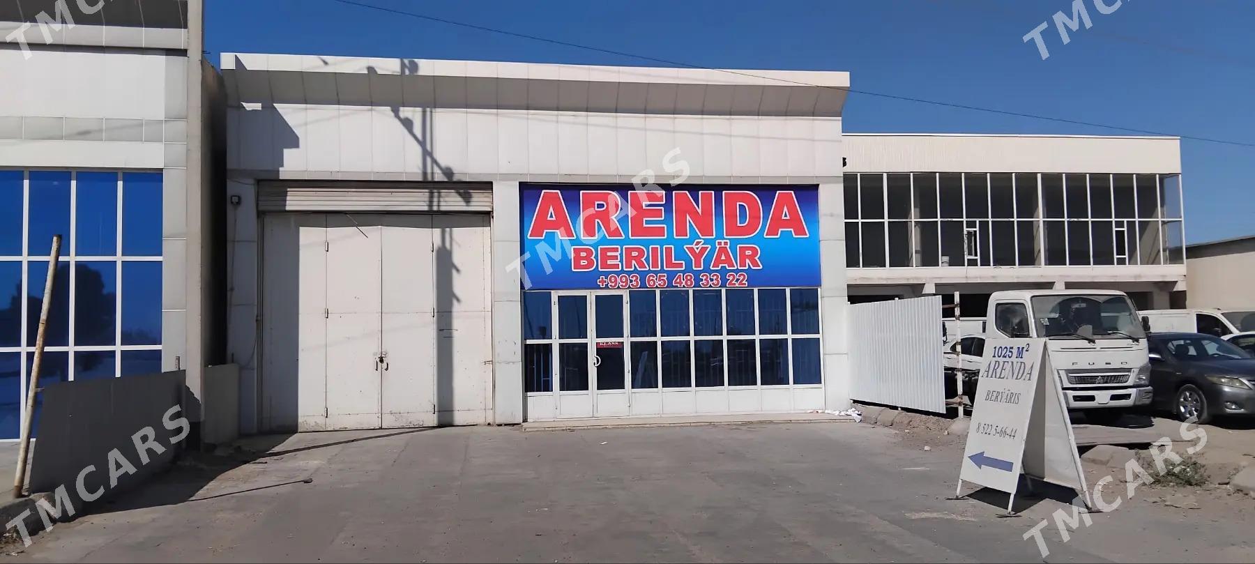Arenda magazin ammar - Mary - img 2