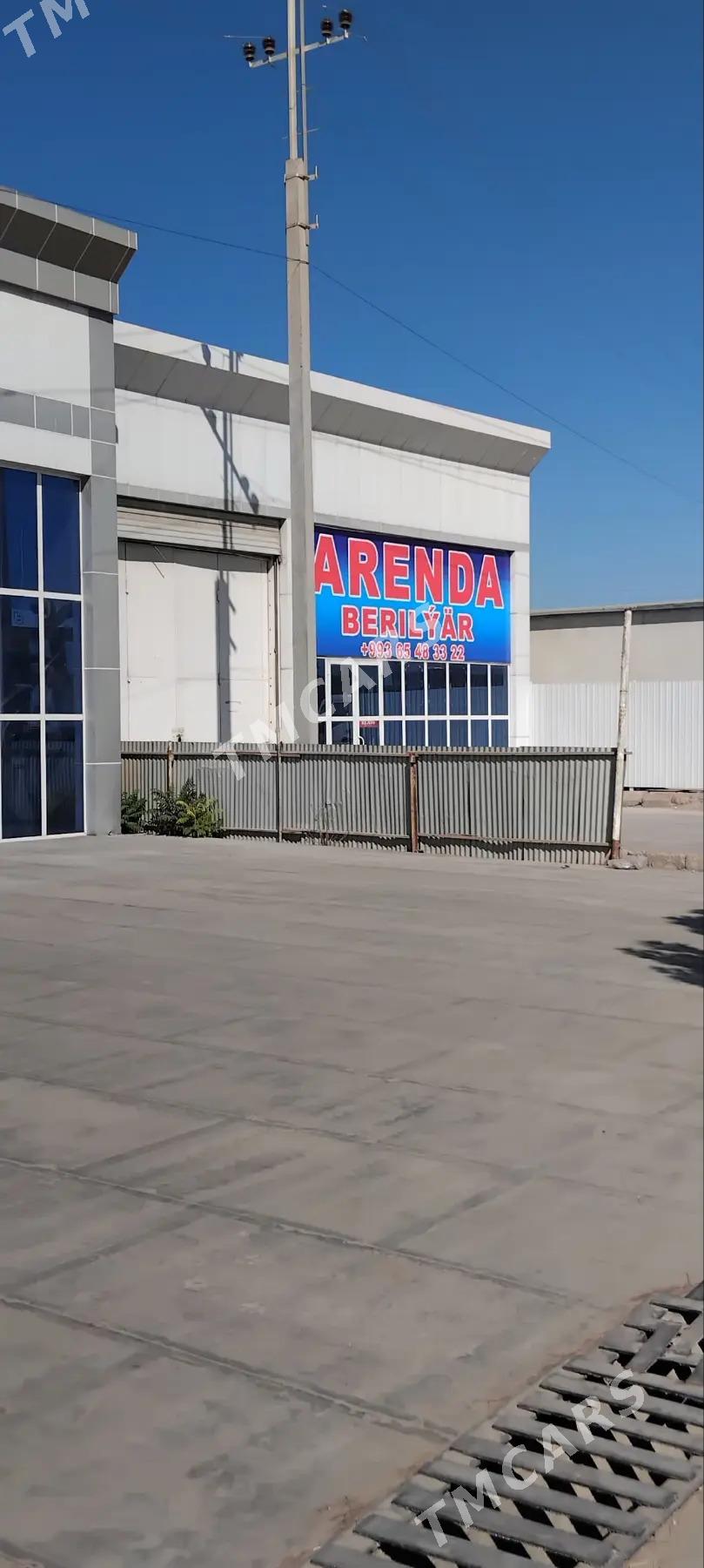 Arenda magazin ammar - Mary - img 4