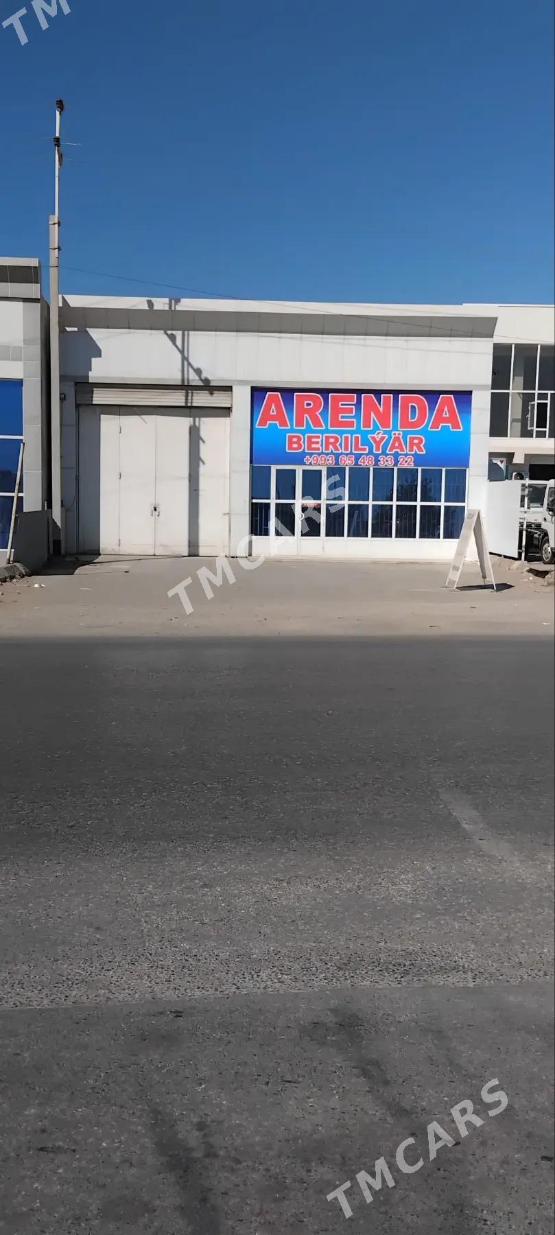 Arenda magazin ammar - Mary - img 3