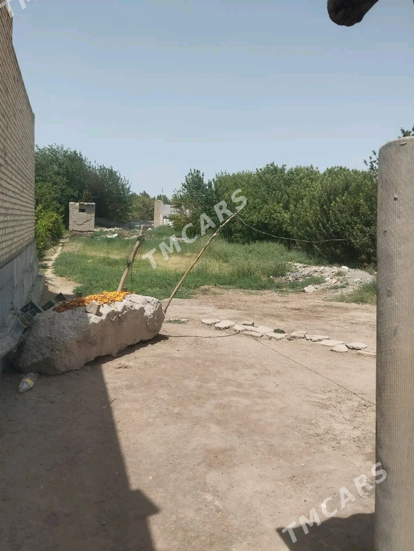 Продаю дом Ленин колхоз 10 сот - Türkmenabat - img 8