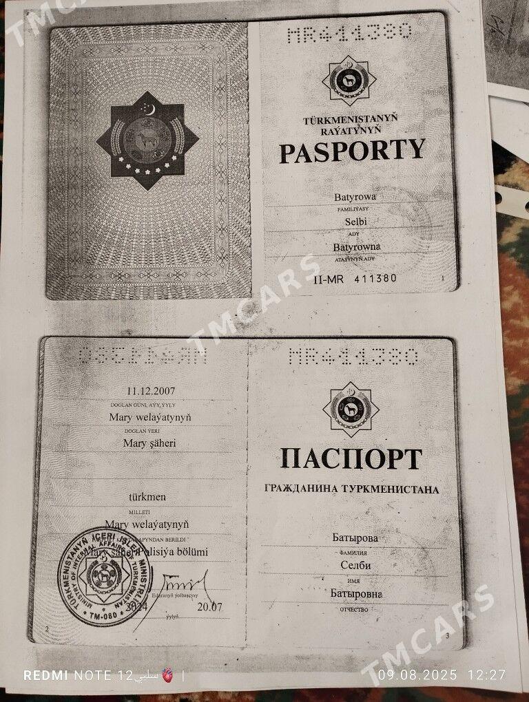 pasport - Türkmenbaşy - img 2