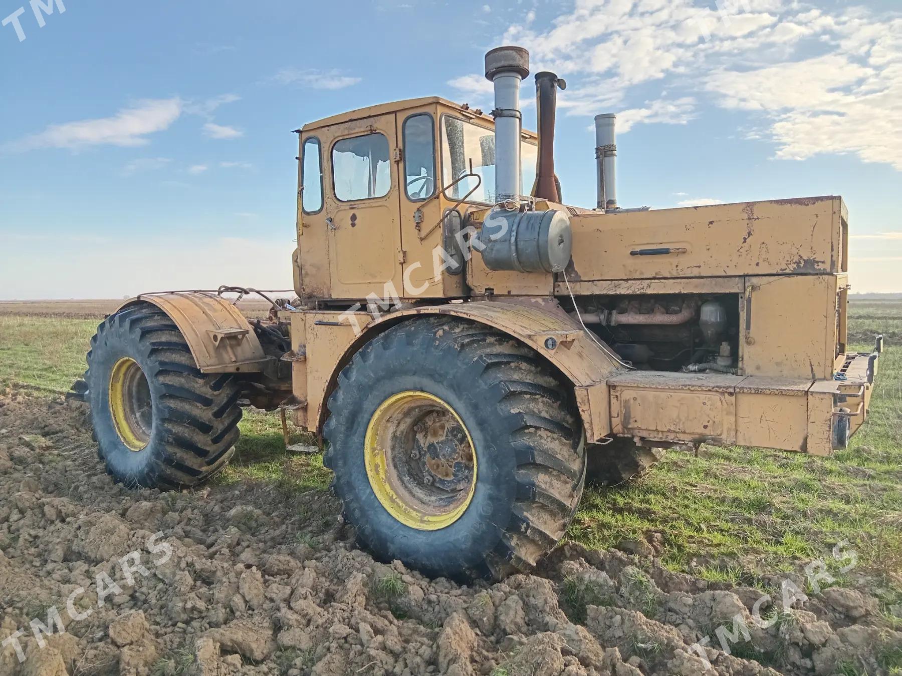 MTZ 80 1985 - 175 000 TMT - Ашхабад - img 8
