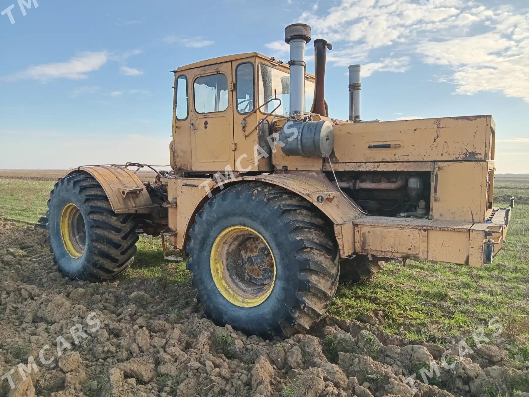 MTZ 80 1985 - 175 000 TMT - Ашхабад - img 5