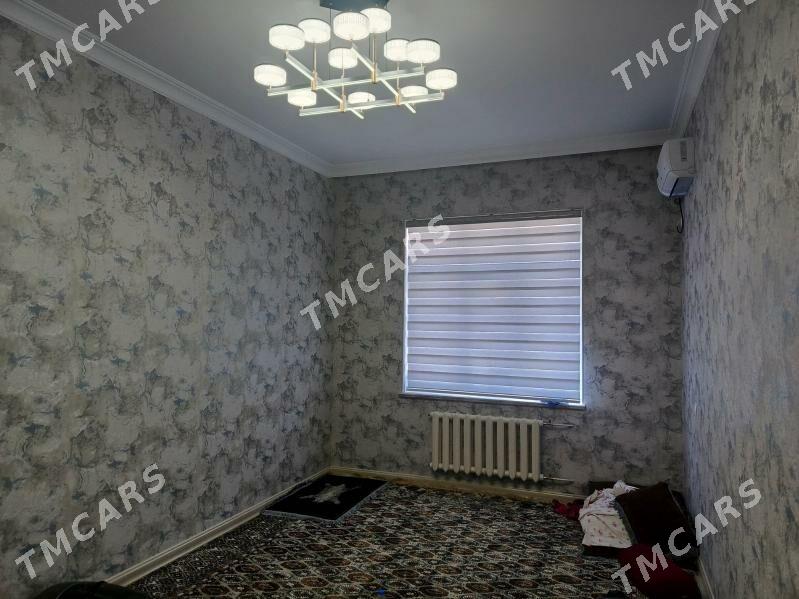 Pol Elitka - Анев - img 2