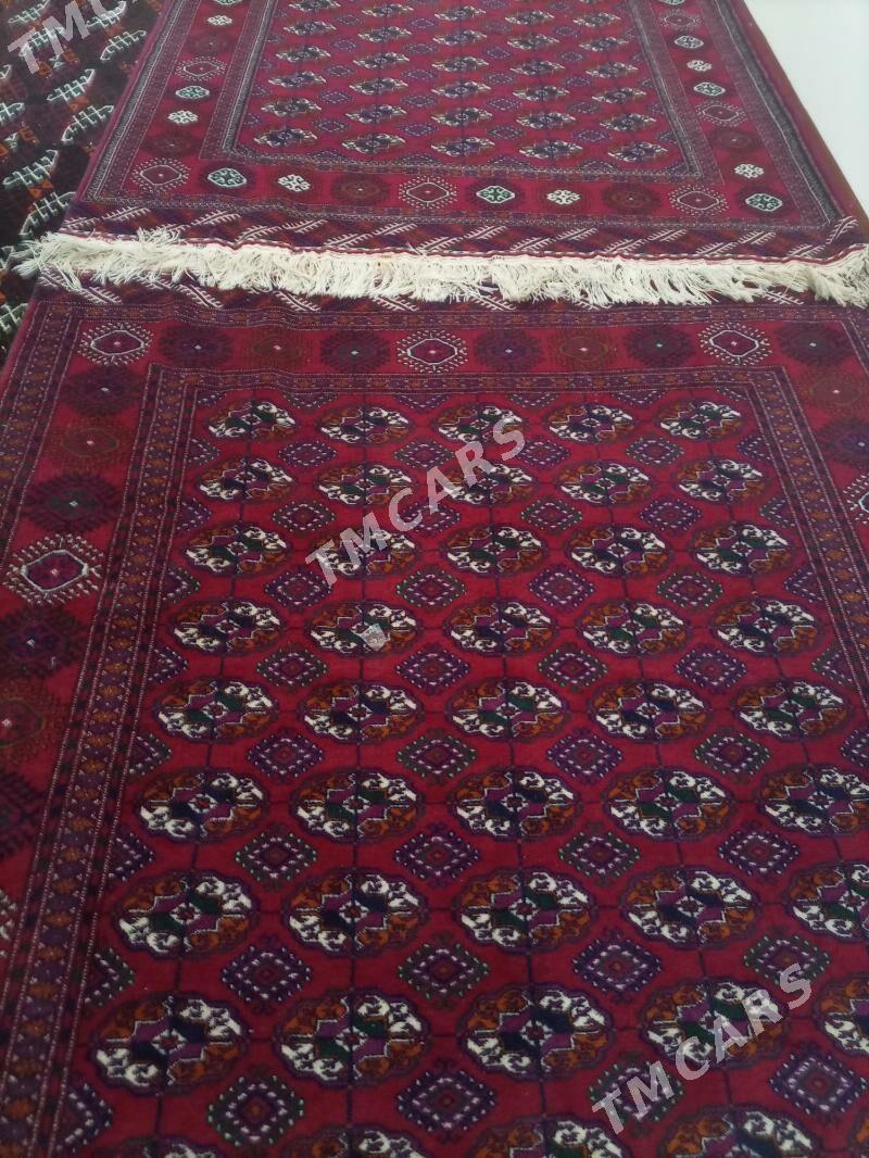 El haly - Köneürgenç - img 2