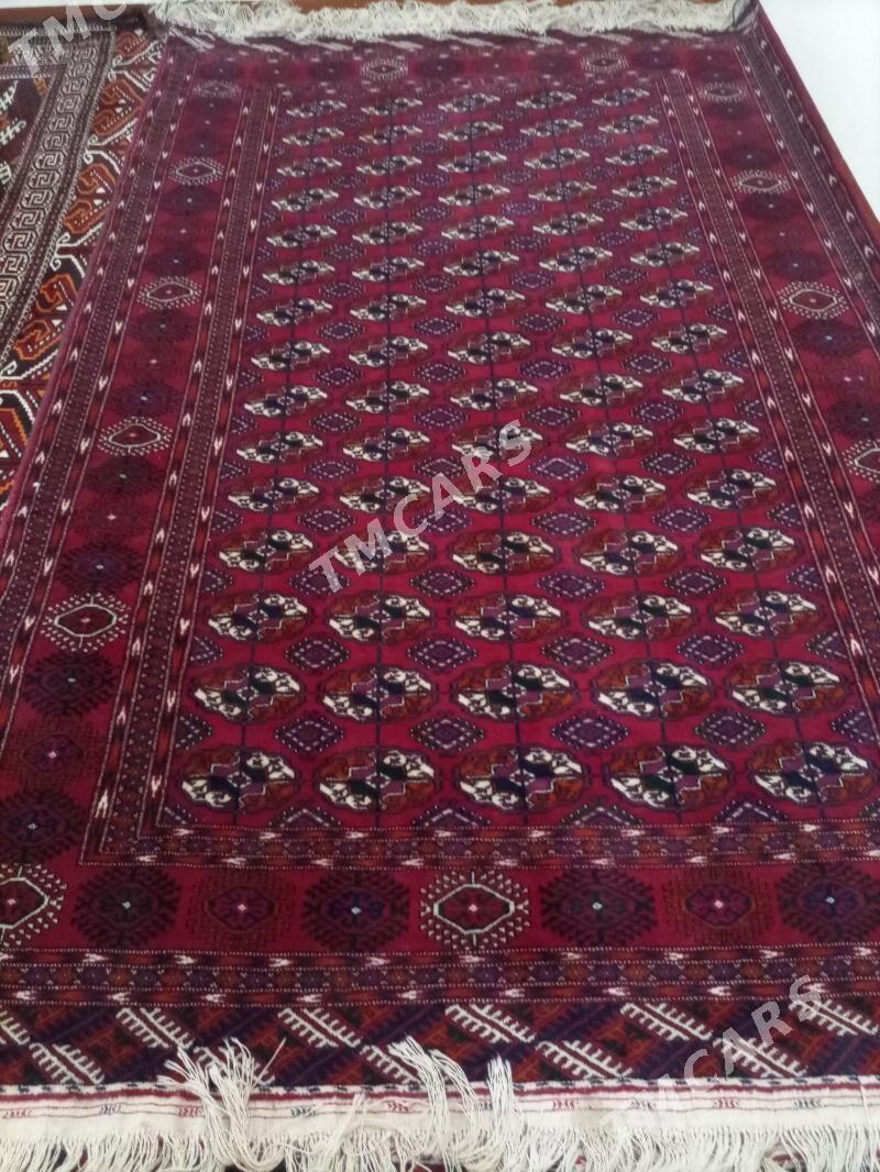 El haly - Köneürgenç - img 3