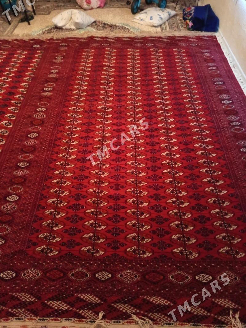 El haly - Гёкдепе - img 2