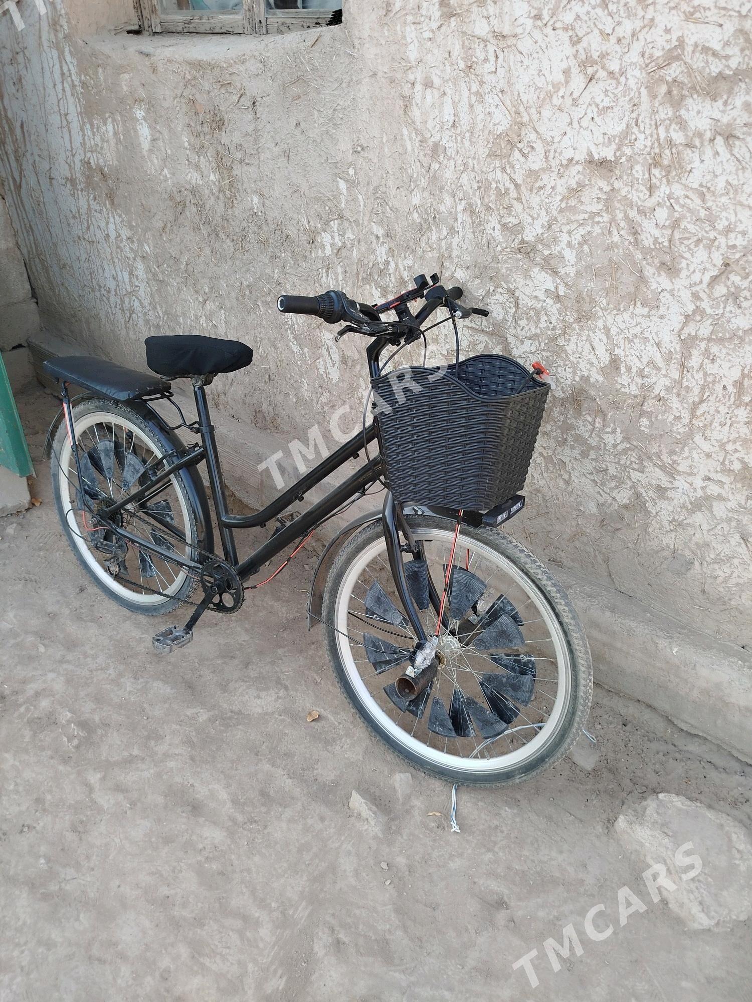 welsapet - Köneürgenç - img 3
